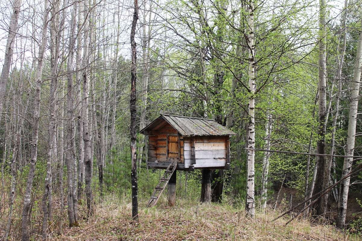    Священный амбарчик ура-сумьях. Фото Томаша Боукал, stalker