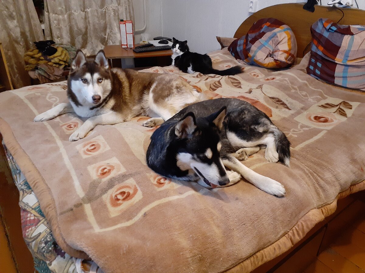 И никто никого не ест :) Фото из личного архива. 