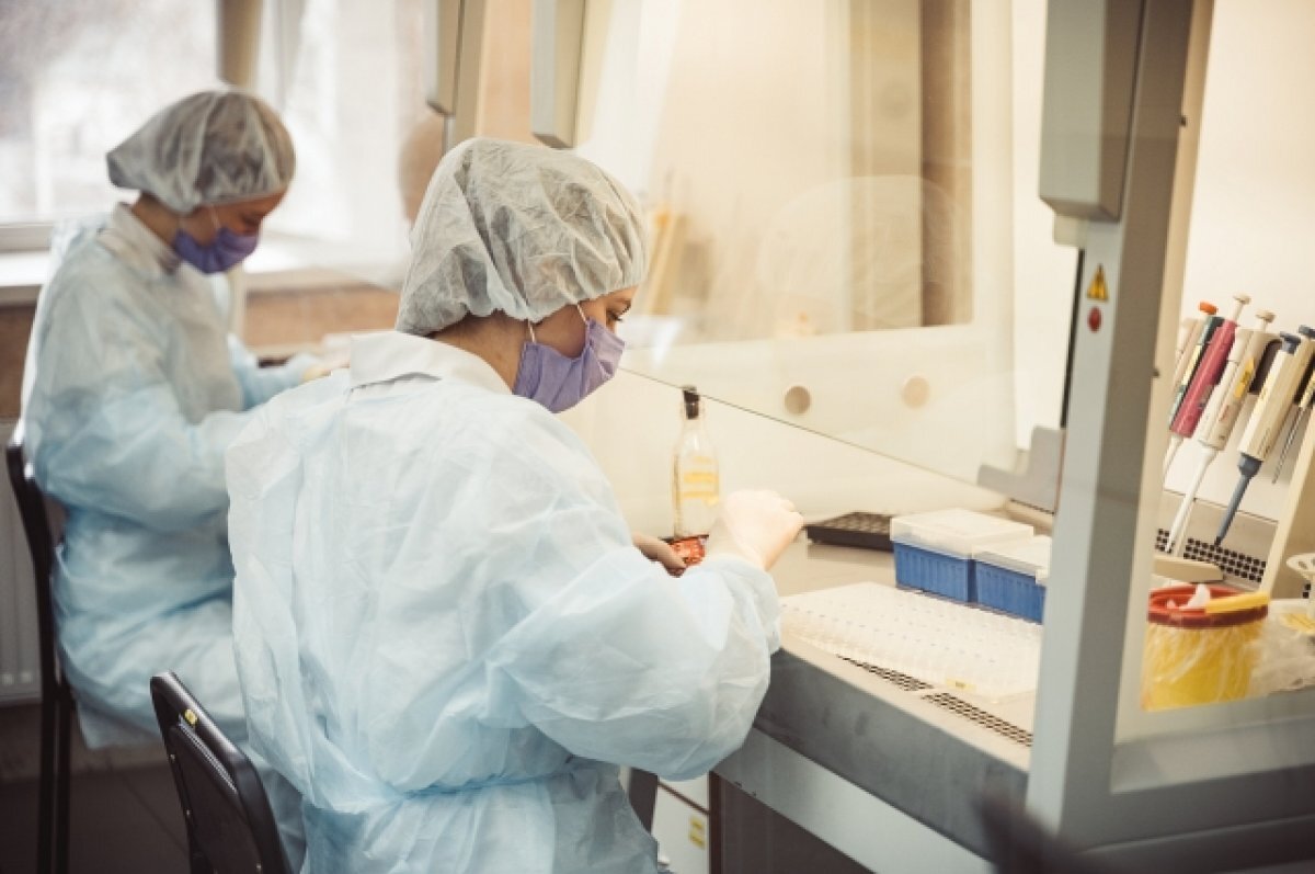    В России за сутки зарегистрировали 11 065 случаев заражения COVID-19