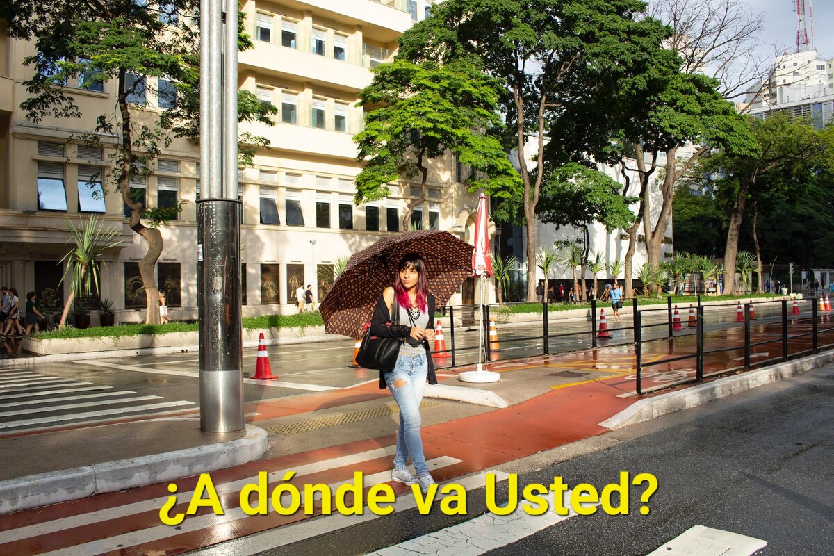 Изображение взято из открытых источников 