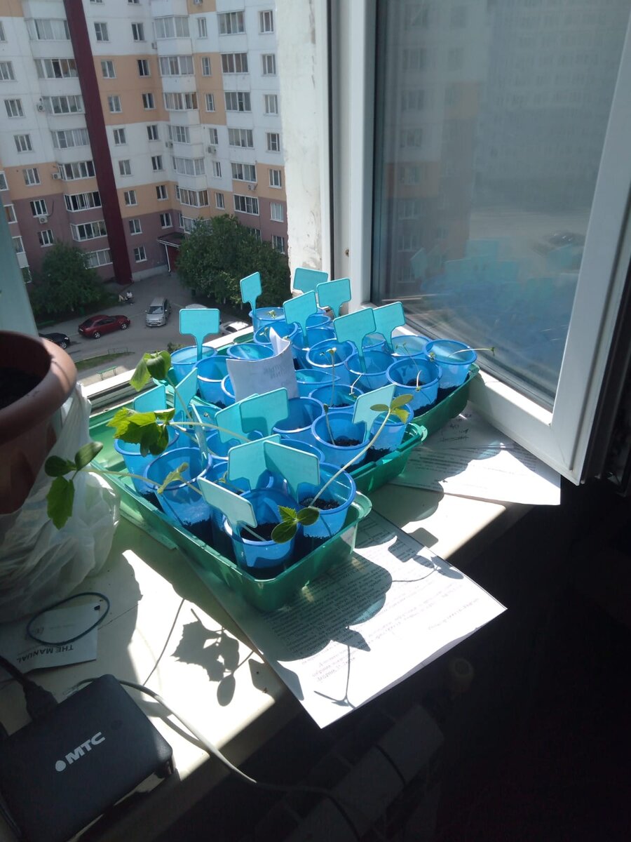 Штирлиц увидел цветок на окне - явка провалена))))))