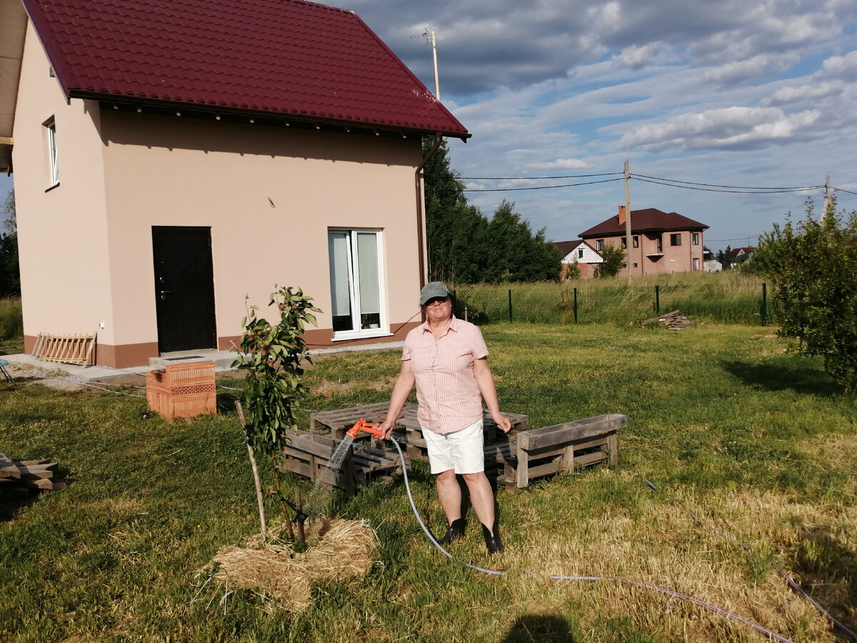 Поливаю и мульчирую. 