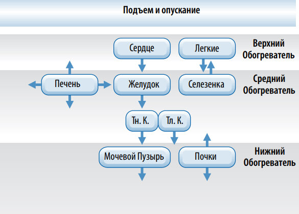 Подъемы-спуски Ци