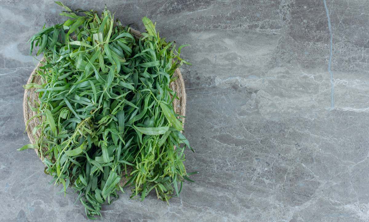 Пучки тархуна