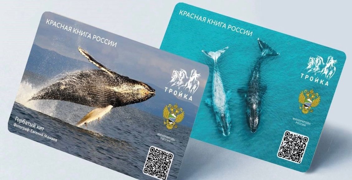    Фото: пресс-служба Минприроды России