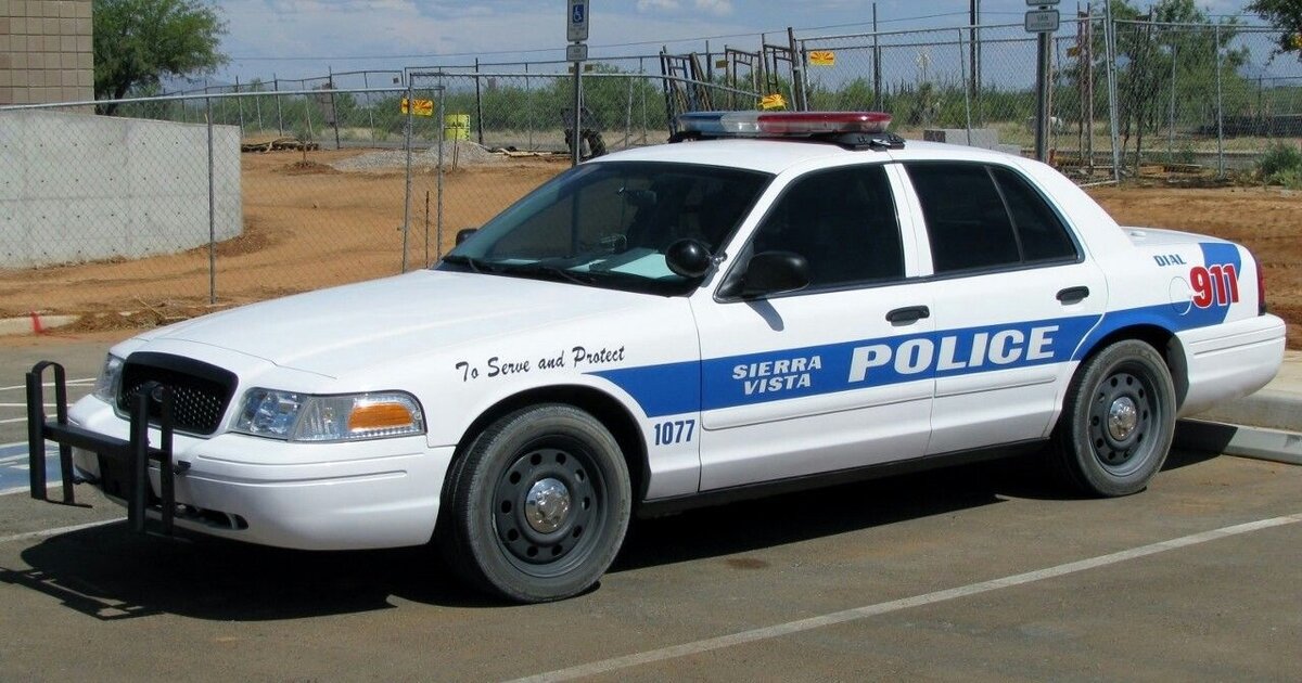 фото взято из открытого источника