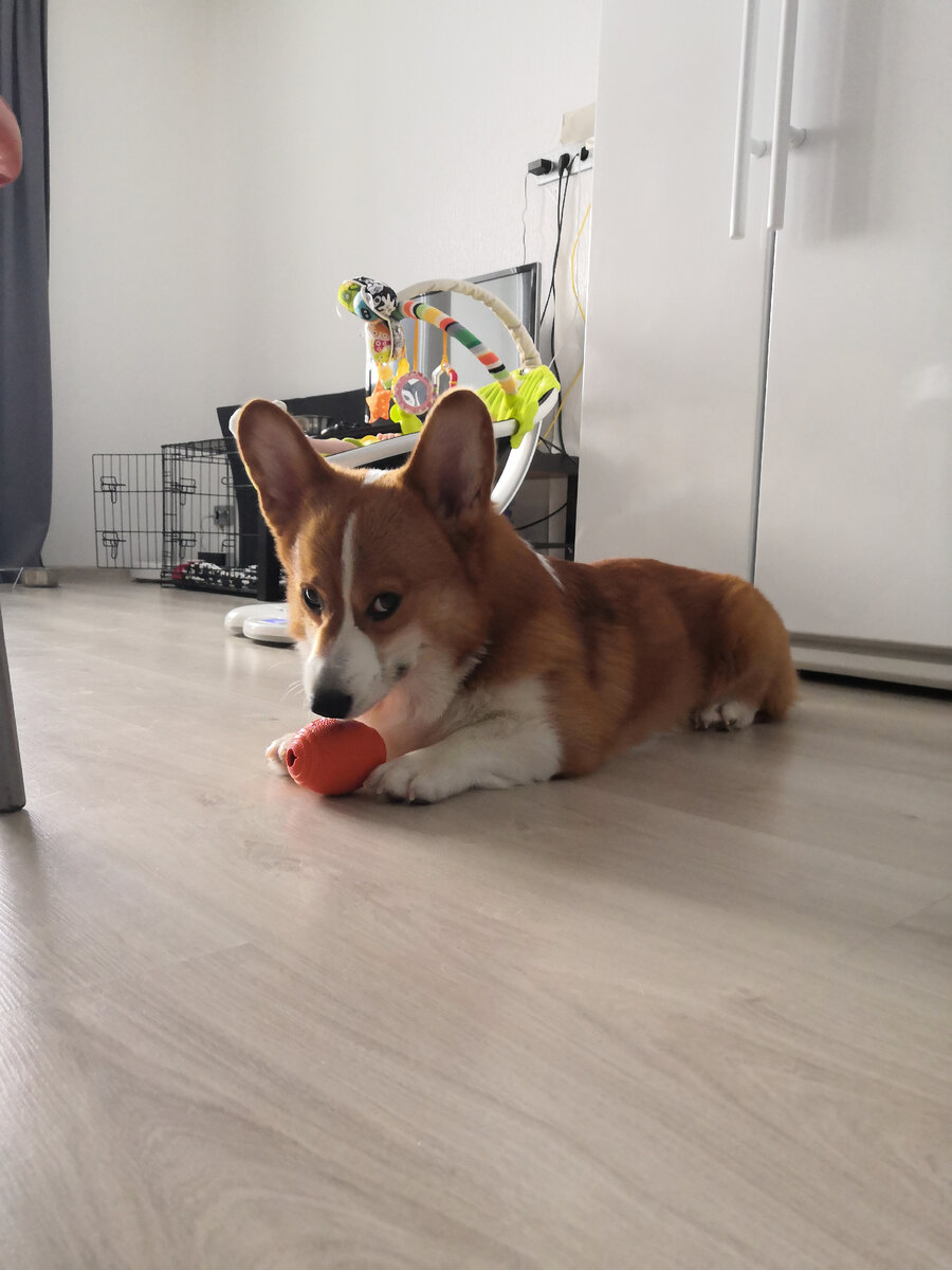 Разнообразие мерлиновских игрушек