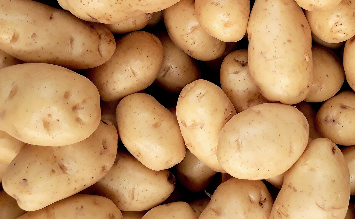 Поддержите моё желание сделать мир здоровее: подпишитесь на мой канал и поставьте лайк статье 👍🏻