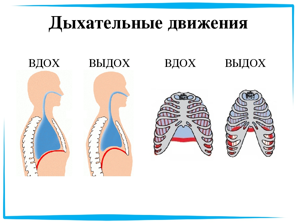 Картинка вдох и выдох