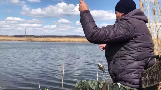 Карась на поплавок один за одним - все дело в закорме