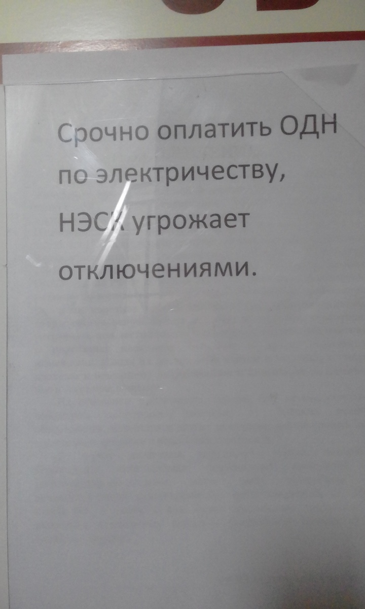 Самые крутые ребята работают в НЭСКе
