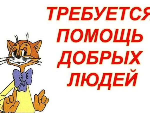 Умоляю Помочь Остался Один Выживаю как могу!!!