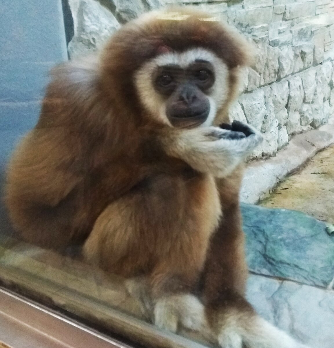 Грустная Маша