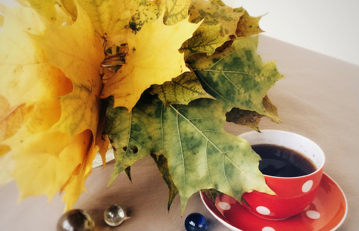 В желании найти красивый символ есть эмпатия и уважение