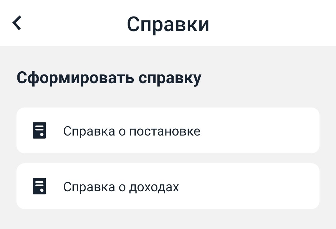 Раздел приложения Мой налог для самозанятого