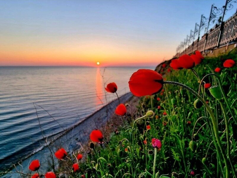 Источник фото: https://www.instagram.com/p/COJFdLgFvHW/