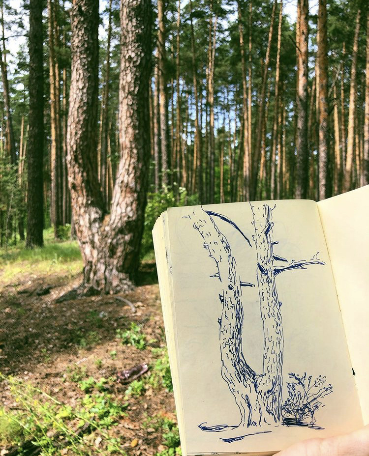 Никакого упорядоченного штриха, просто хаотичные линии, повторяющие натуру