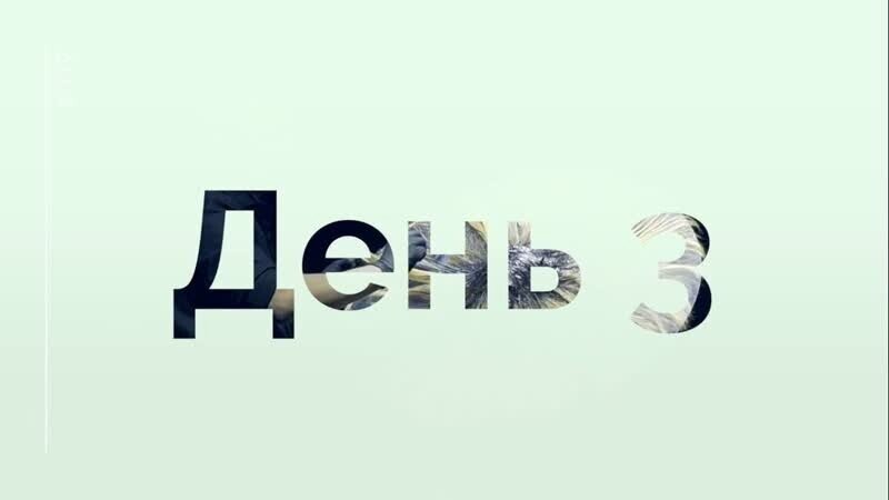 Картинка day 1