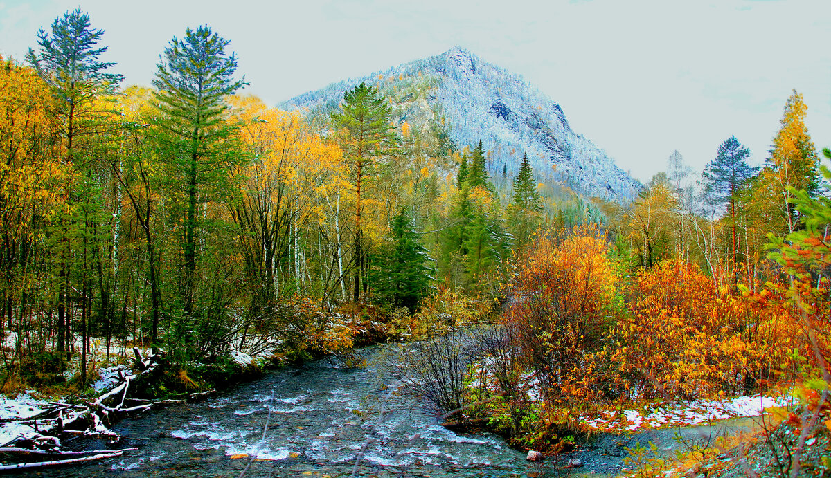 Фотография, стихотворение Василия Глуцкого