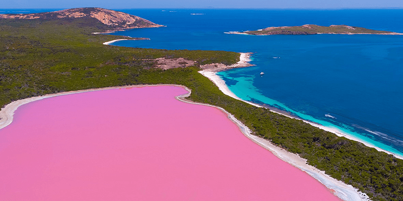 Изображение взято из свободных источников