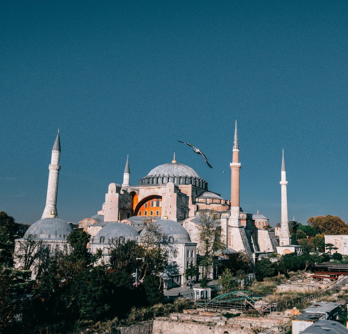 Фото автора Meruyert Gonullu: Pexels