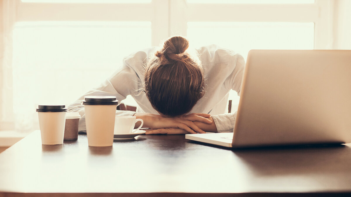 Изображение взято из открытого источника Яндекс.Картинки