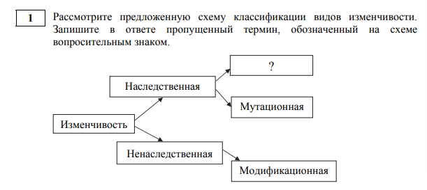 Ботаника. Тесты - презентация онлайн