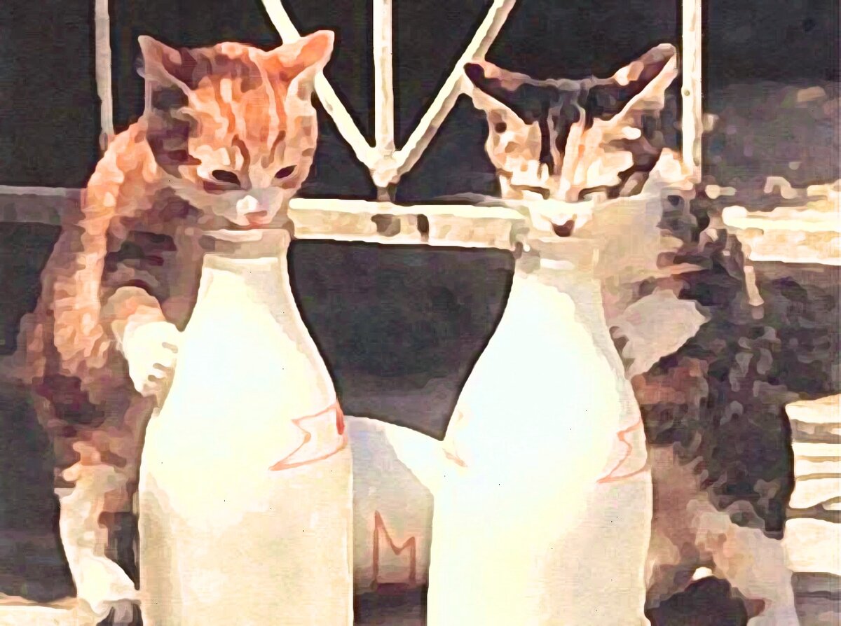 Животные пьют молоко. Смешное молоко. Кошка и молоко. Котик с молоком. Коты пьют молоко.