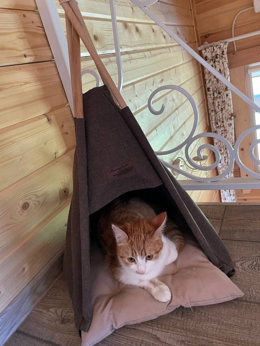 Например, поясни, почему кошачий вигвам за 4000 - это хорошая цена, и покупка того стОит.
(Да, стоит).