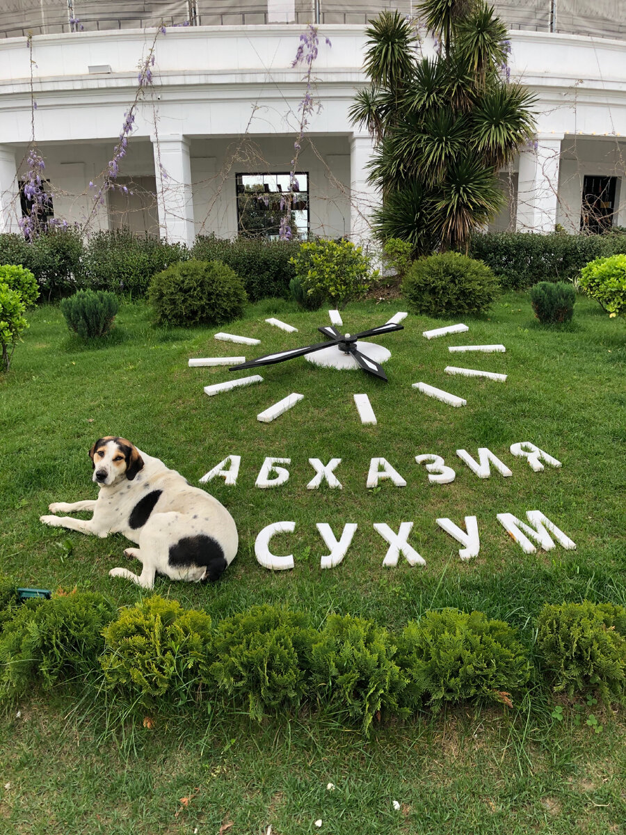 Сухум 2021. Фото автора 