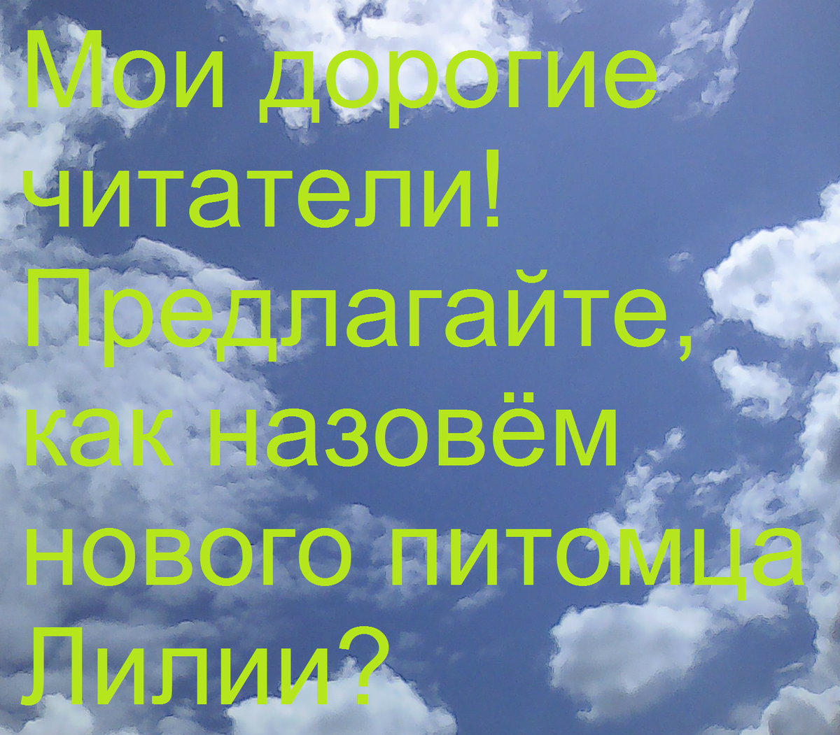 Фото из личной коллекции