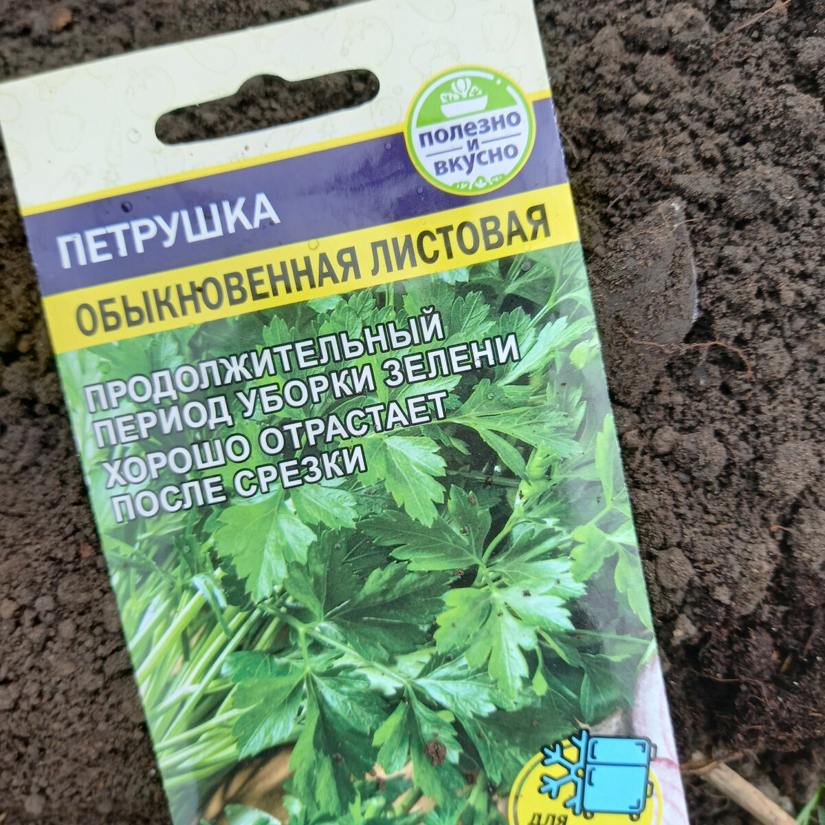 Как компактно посадить в одной грядке всю зелень: лук-порей, петрушку,  укроп, салат и редис | Волжский сад | Дзен