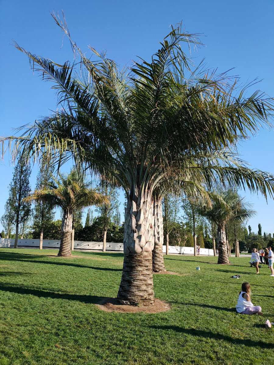 фото из личного архива, август 2020