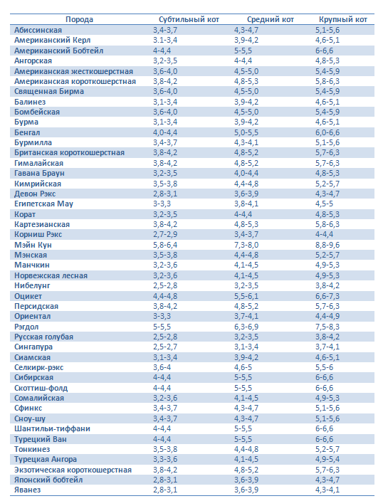 Нормальный вес кота