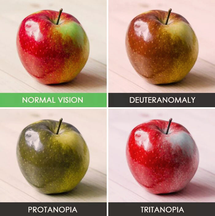 Люди видят мир по-разному. И не только по физиологическим причинам