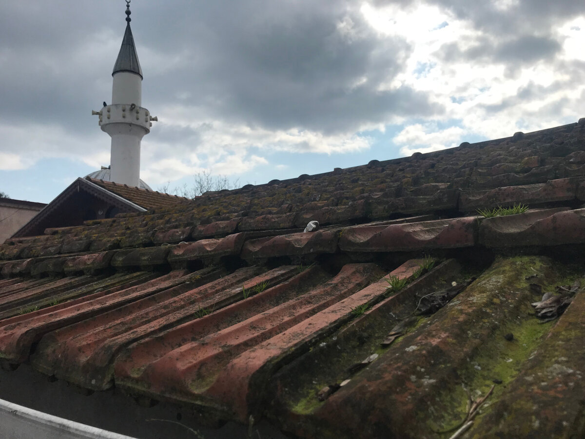 Кровельная металлочерепица: жизнь под надежной крышей