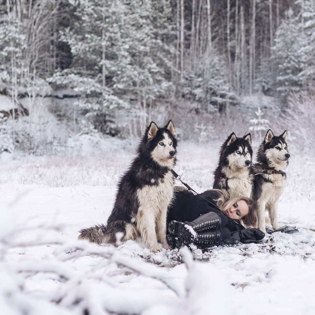 Фото инстраграм: @foxphotospb