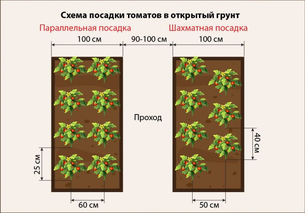 Схема посадки клубники в открытом грунте расстояние