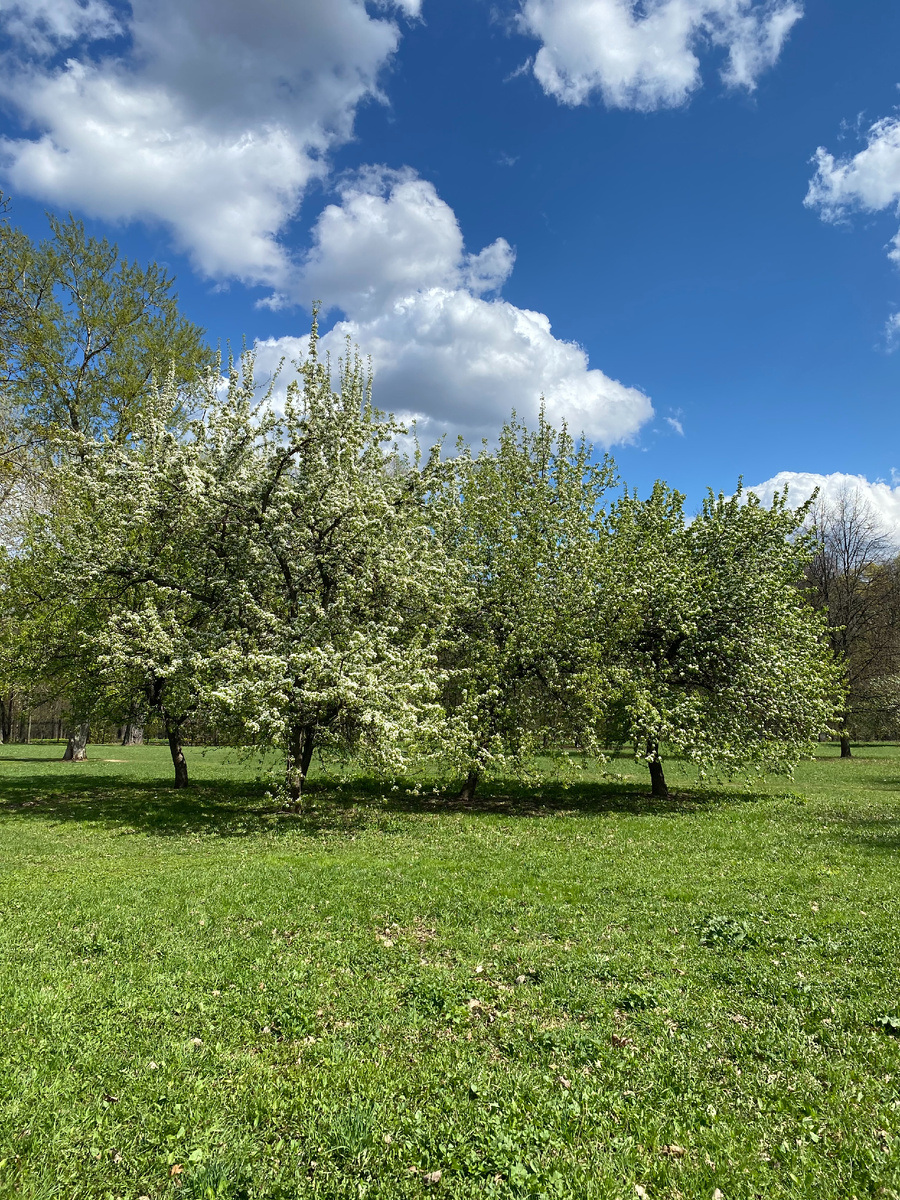 Фото автора.