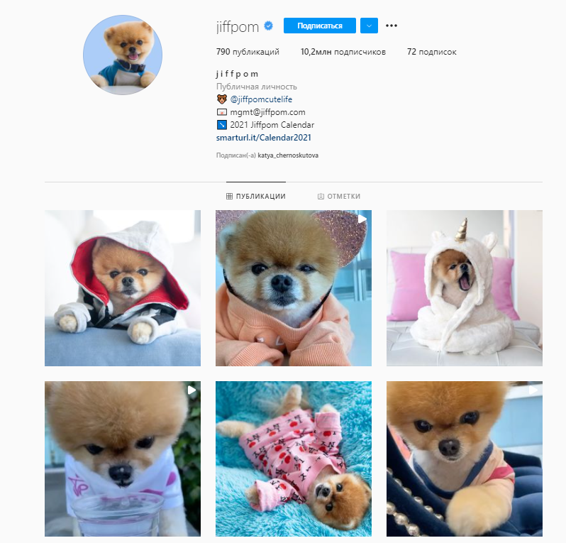 instagram: @jiffpom