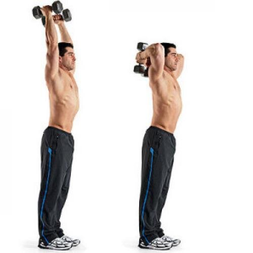 французский жим гантелями стоя. французский жим гантелей на трицепс. французский жим гантели на трицепс. упражнения на трицепс. жим гантели из за головы на трицепс.