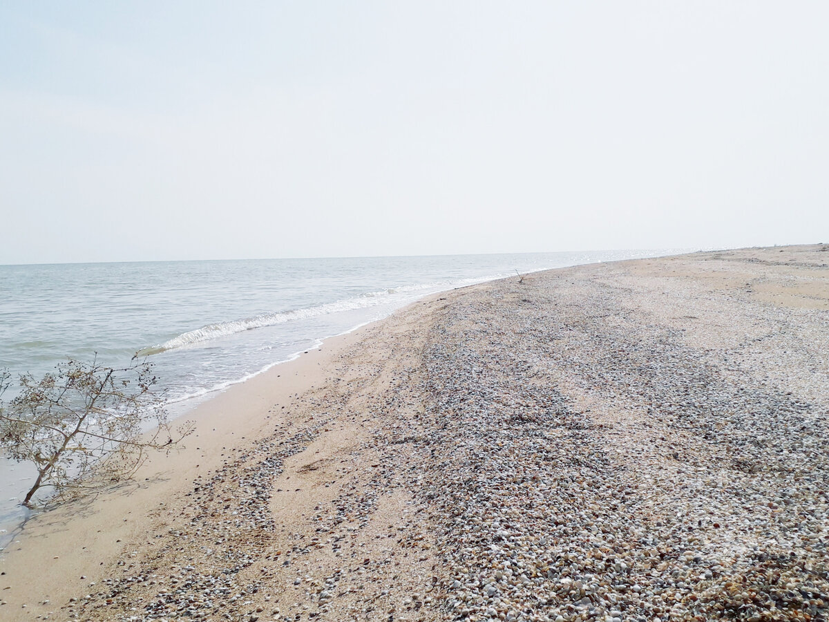 Камышеватская коса