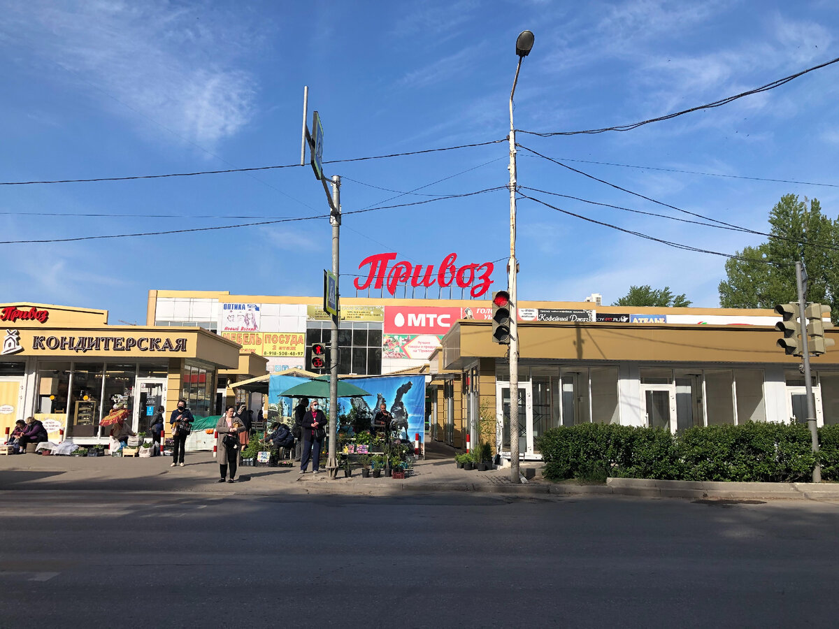 Все фотографии сделаны автором статьи