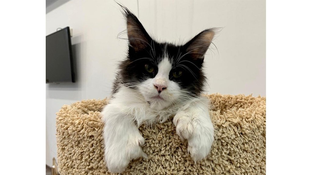 Дали из Комсомольска-на-Амуре 