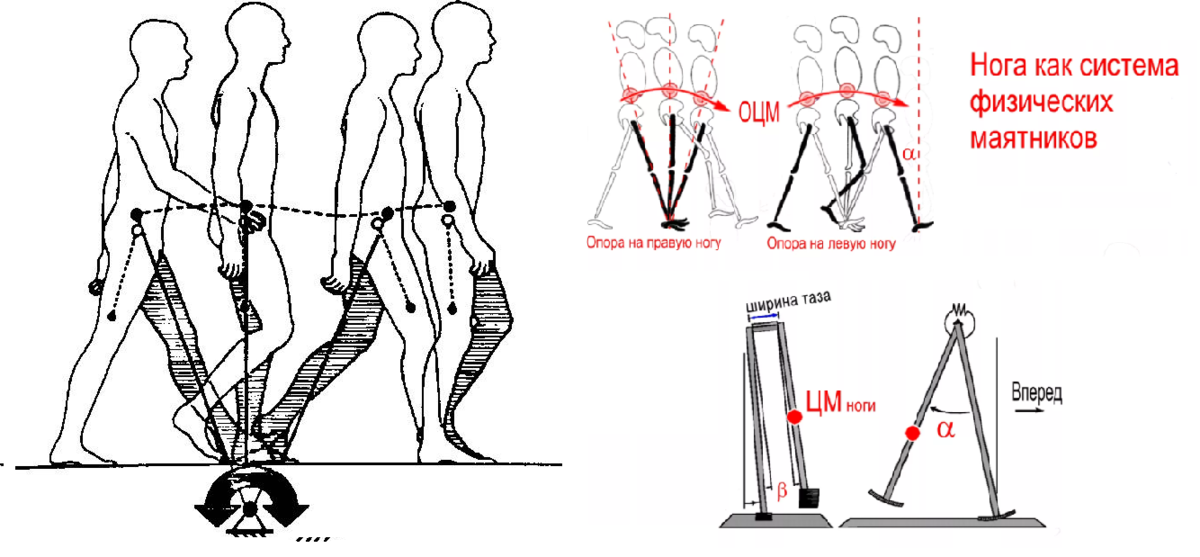 Человек-маятник