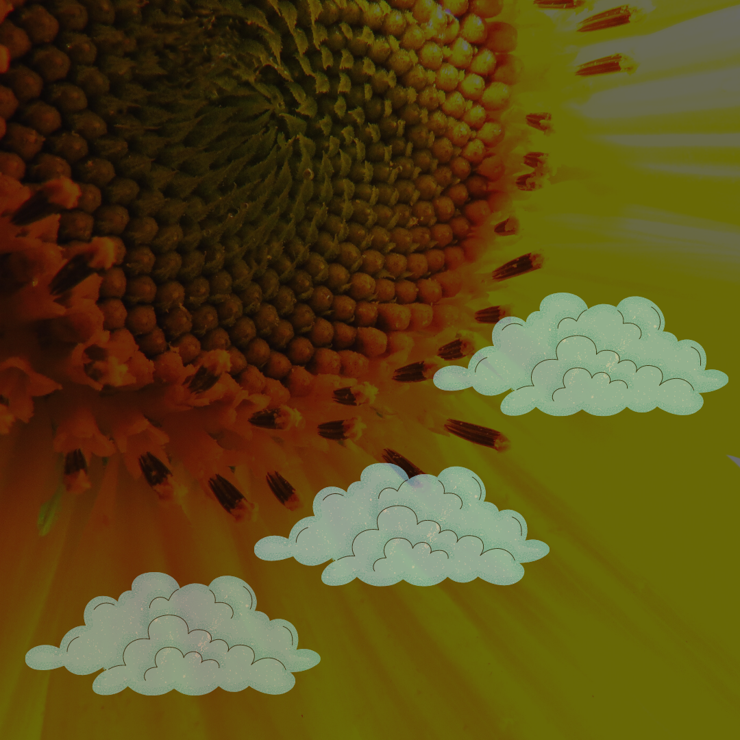 Куда уходят души людей?