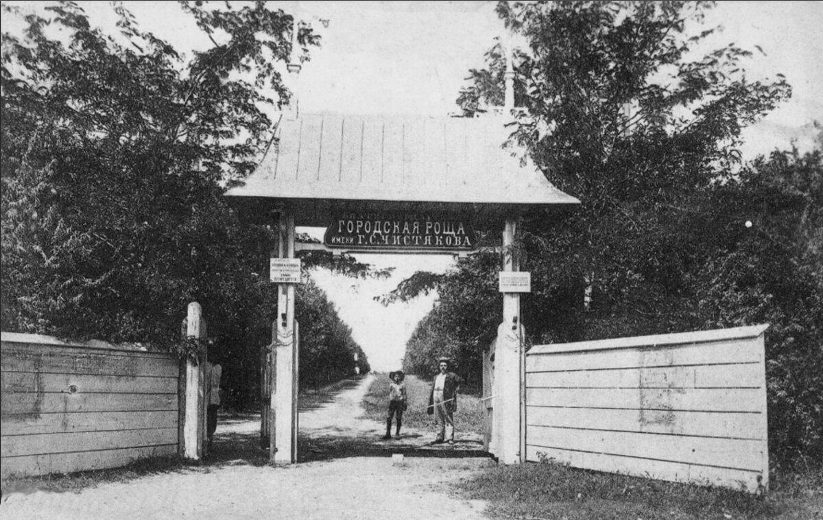 Чистяковская роща начала своей истории. Фото из интернета для иллюстрации статьи