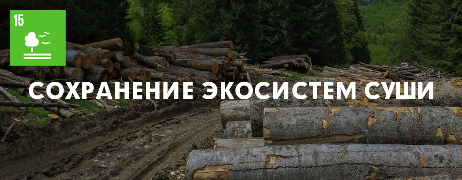 Сохрани 15