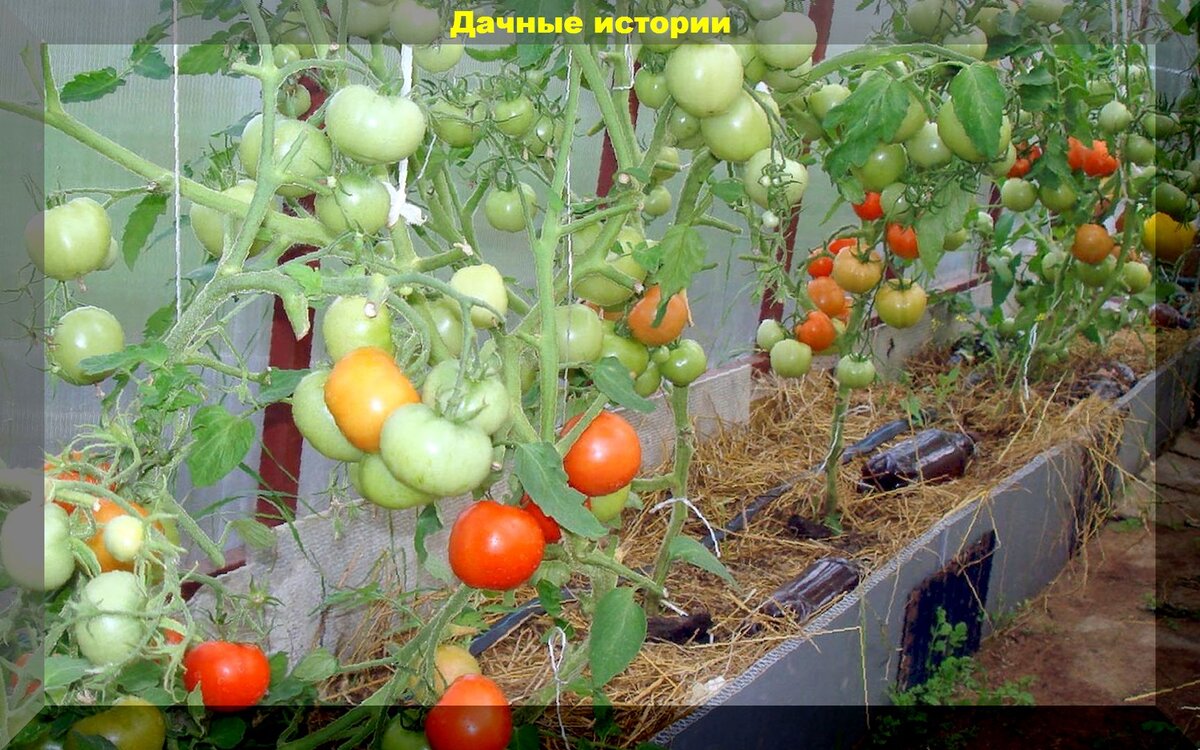 https://vk.com/photo-159774511_457247455