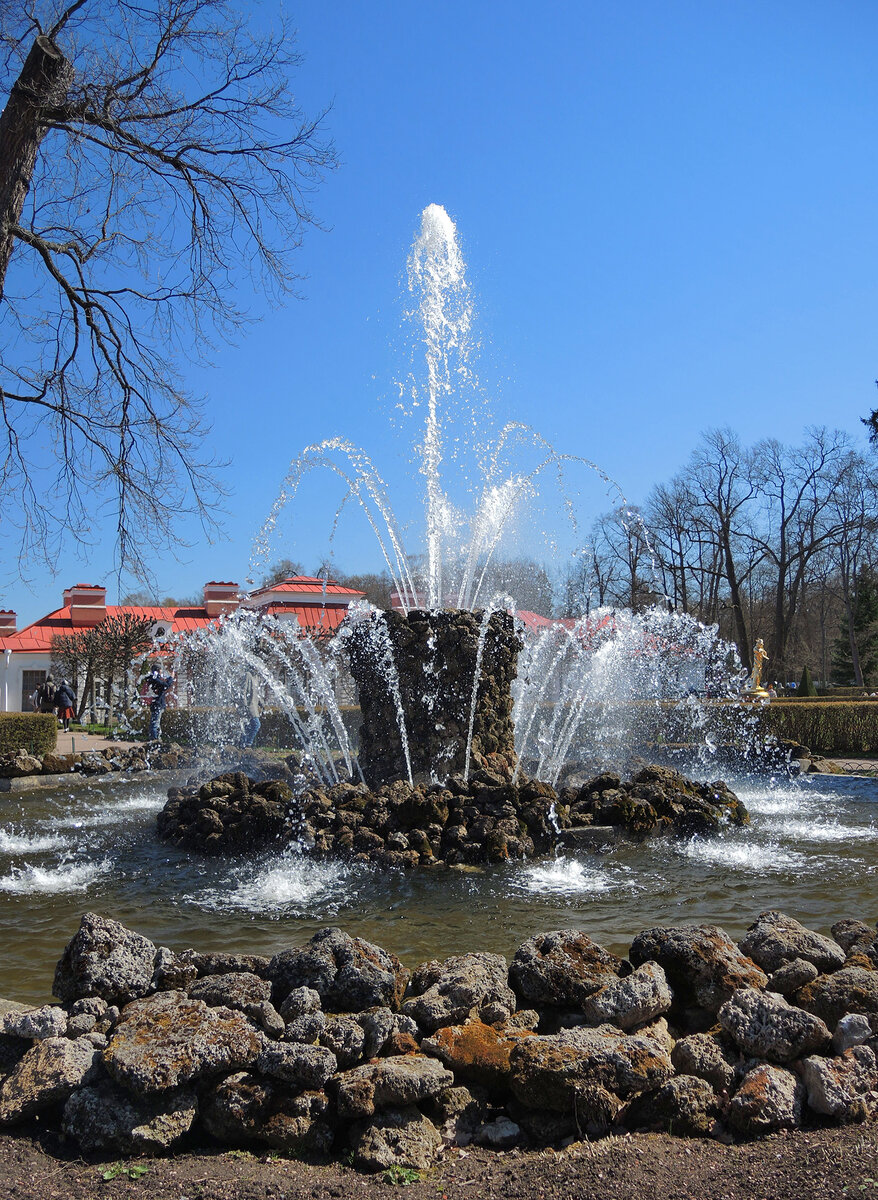 Петродворец, Нижний парк - 9 мая 2021 года